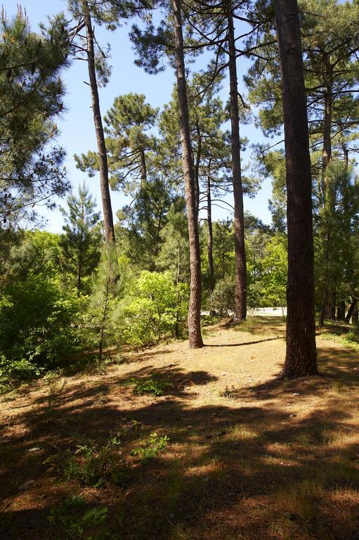 فندق Castelnau-de-Médocفي  Les Cinq Sens Du Chateau Mayne Lalande المظهر الخارجي الصورة